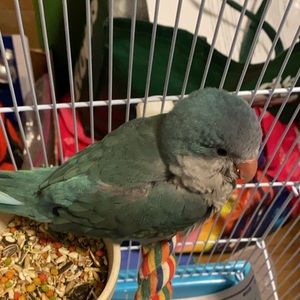 Meet your Posher, Ting